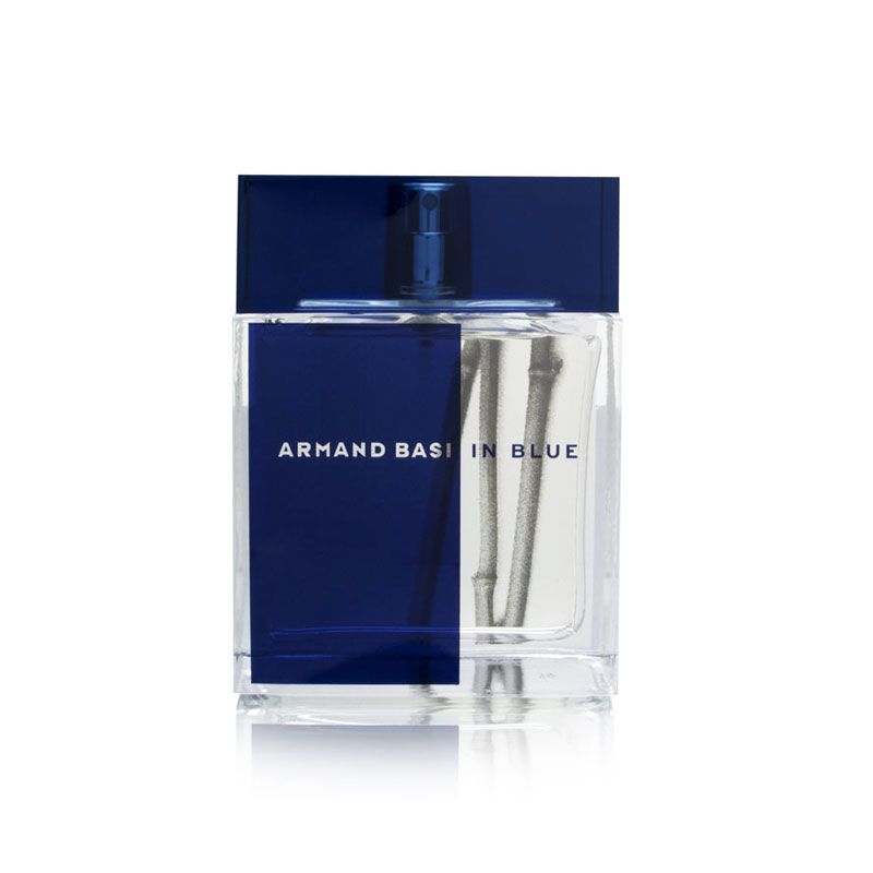 Armand Basi IN Blue edt 100 ml